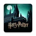 哈利波特霍格沃茨之谜安卓版