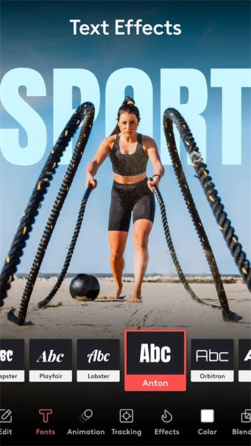 videoleap安卓版截图2