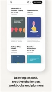 paper翻页相册(Bamboo Paper)图2