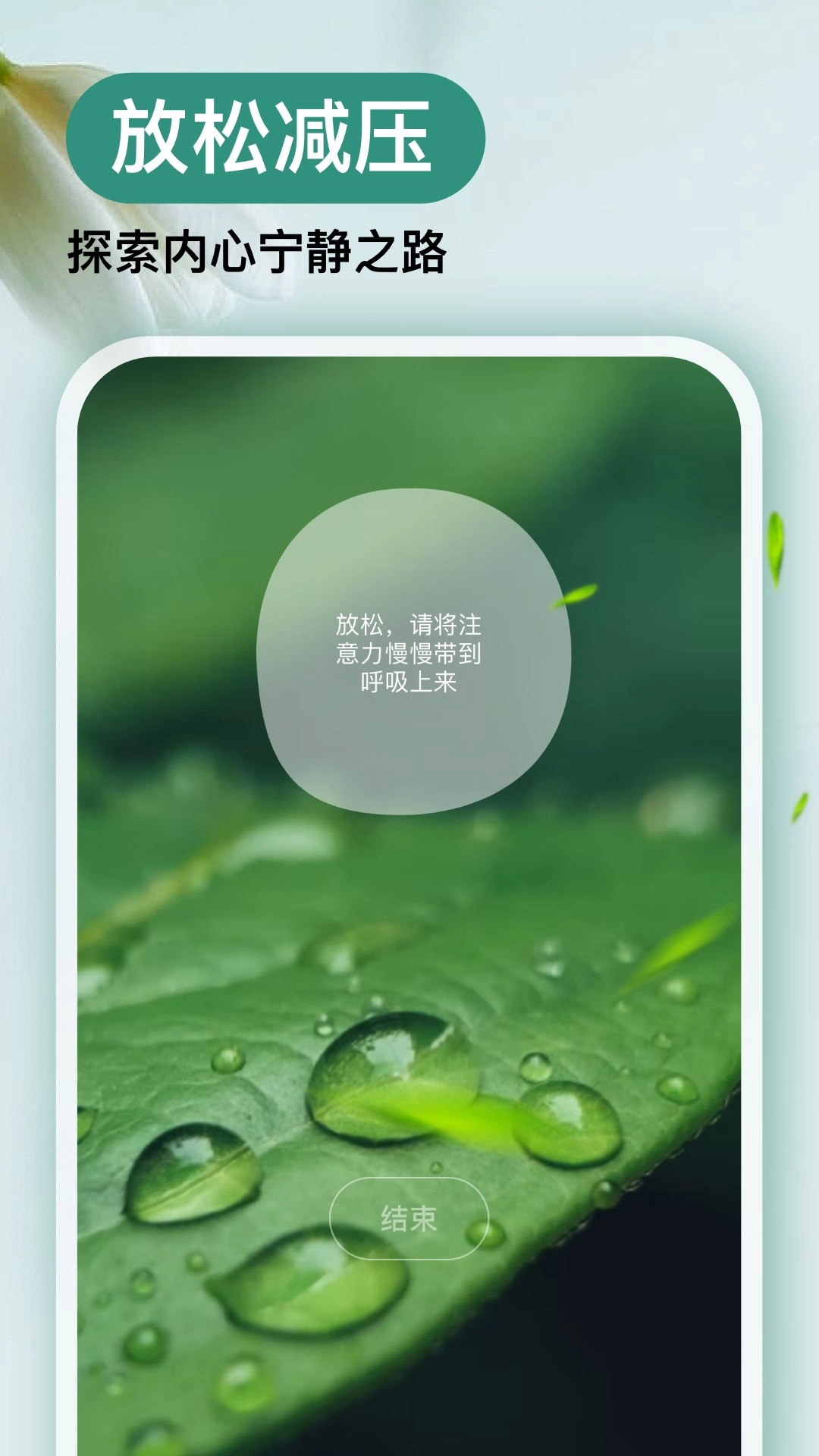 Now冥想截图3