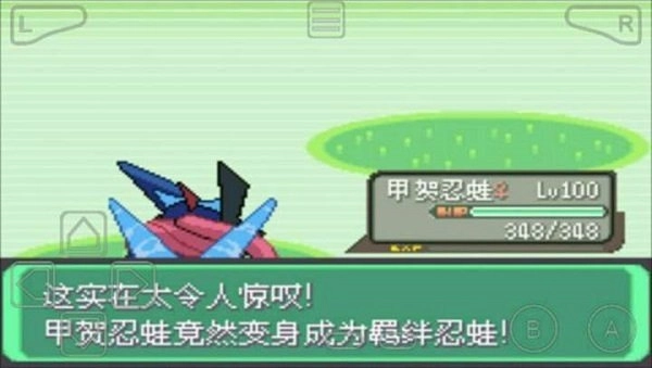 口袋妖怪绿宝石802(3)