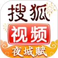 搜狐视频