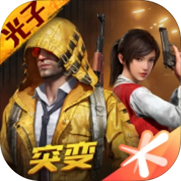 和平精英(国际服)