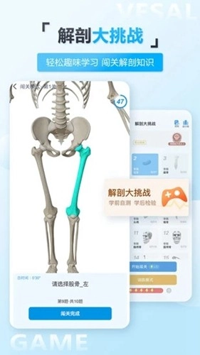 维萨里3d解剖免费版截图1