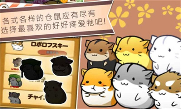 仓鼠的日常中文版截图2