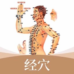 经络穴位标准指南手机版