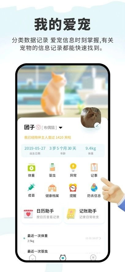 述宠手机版图1