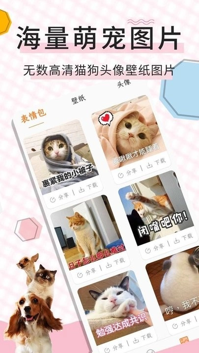 猫语翻译宝图1
