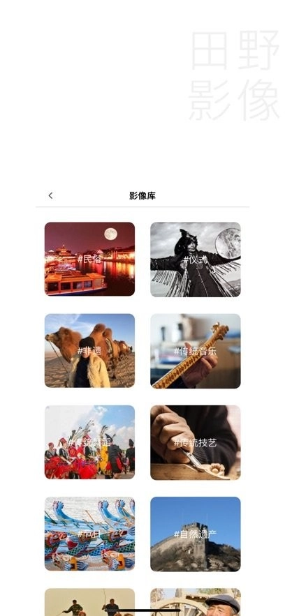 田野影像最新版图3