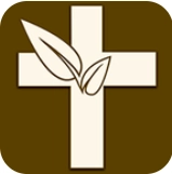 伴读圣经免费正版