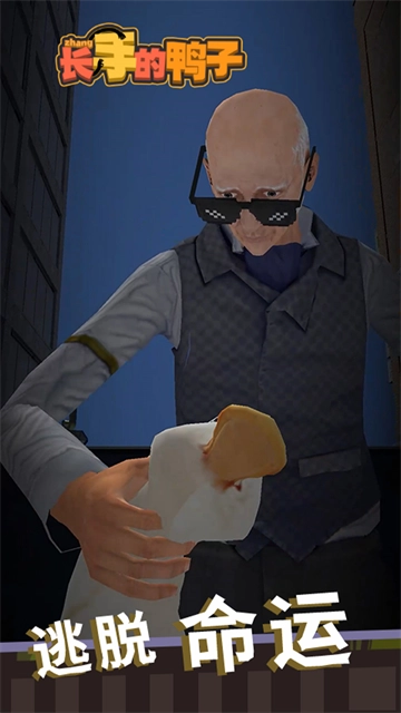 长手的鸭子安卓版-2