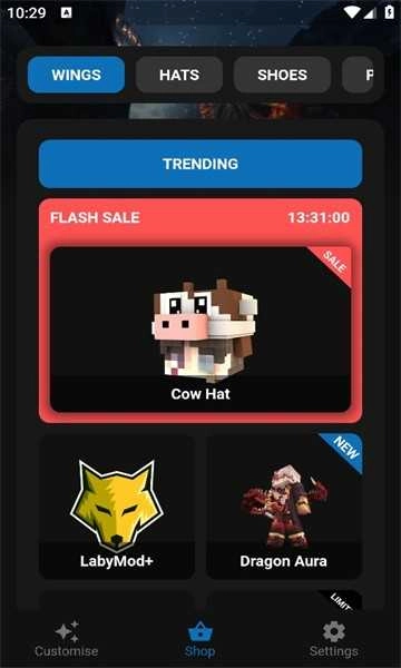 labymod手机版截图2