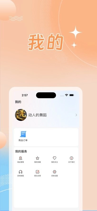 星兴网科免费版图2