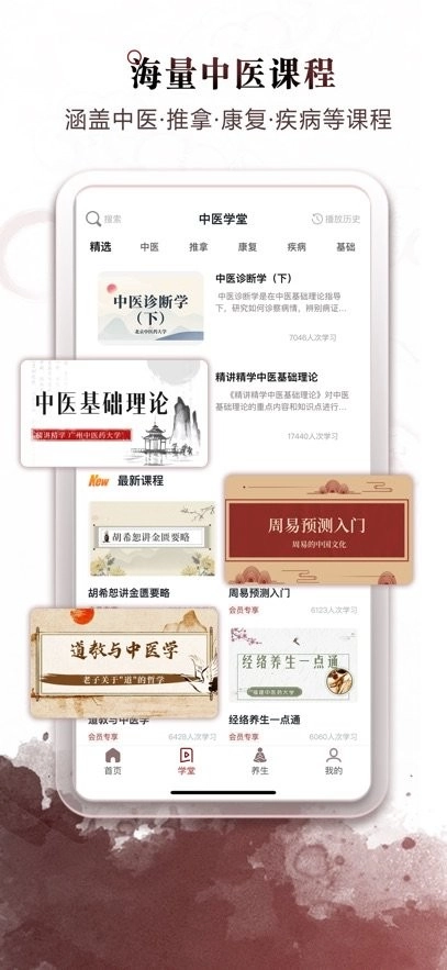 中医经络穴位图3