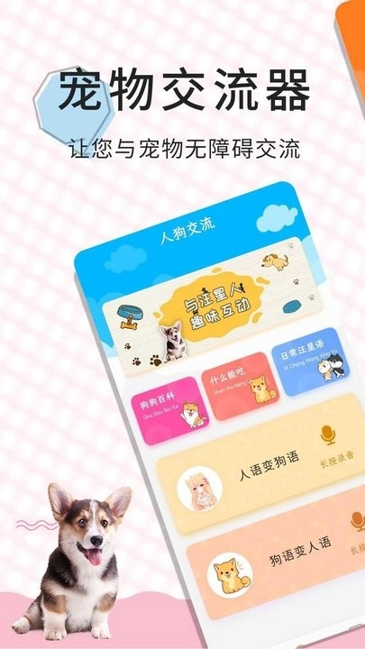 猫语翻译宝图2