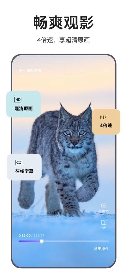 迅雷浏览器手机版图2