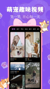 猫狗翻译器手机版