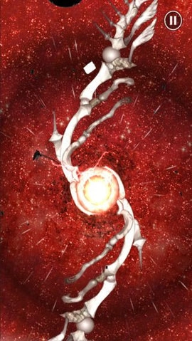 天鹅之歌绝唱图4