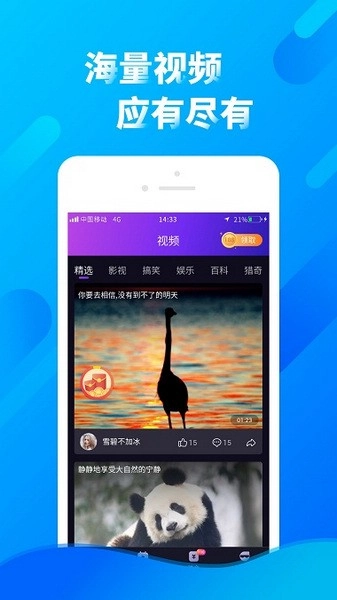 雏鸟短视频pro圆短句