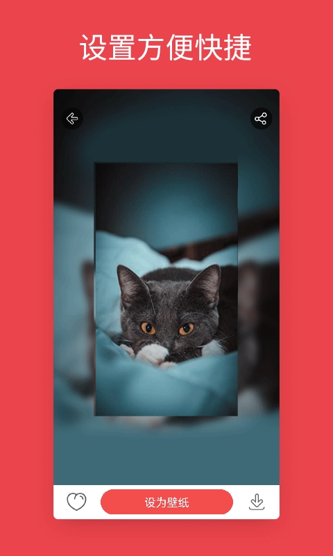 安卓动态壁纸软件图1