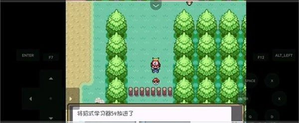 口袋妖怪燃之智安卓版图1