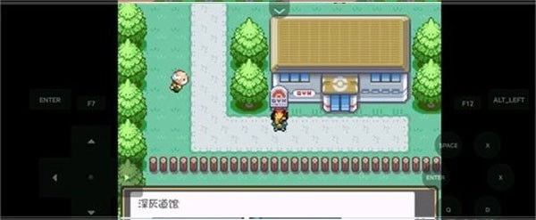 口袋妖怪燃之智安卓版图2