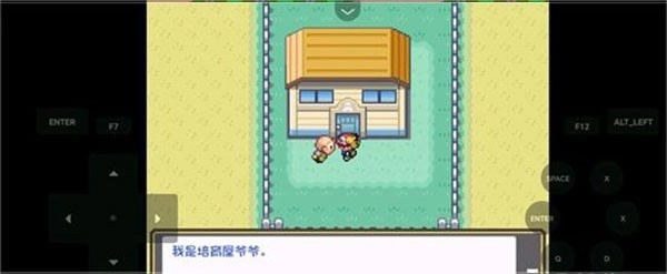 口袋妖怪燃之智安卓版图3