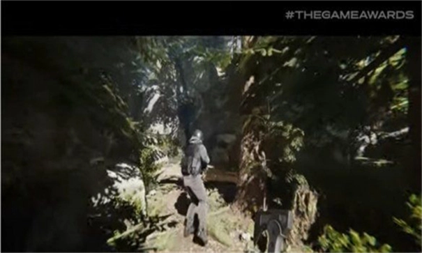 森林之子联机版2