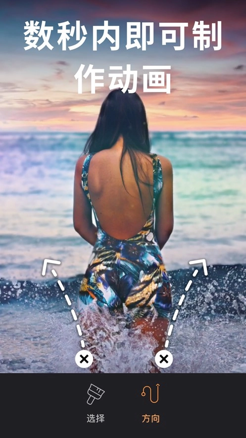 Pixaloop专业免费版(4)