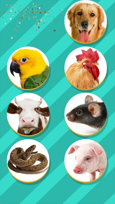 宠物对话翻译器正版(4)