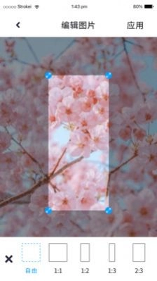 P图照片处理图2