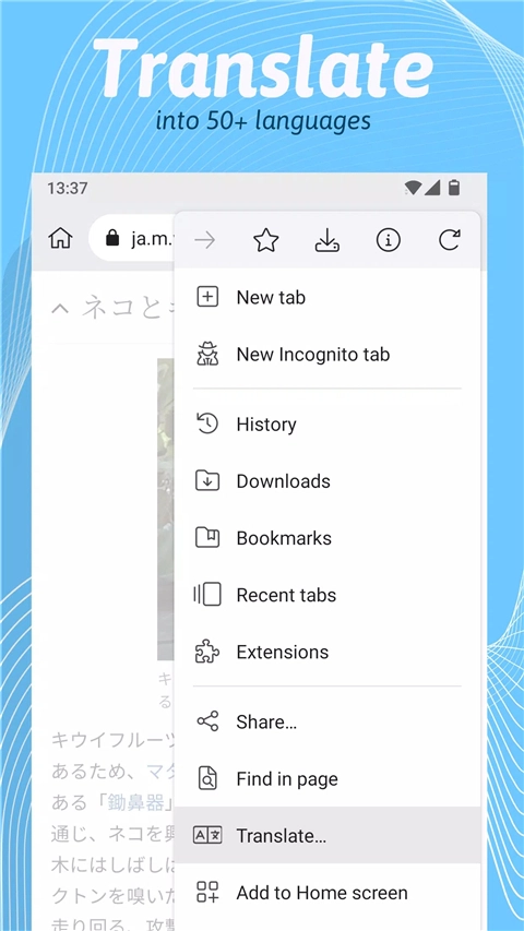 kiwi浏览器中文版2