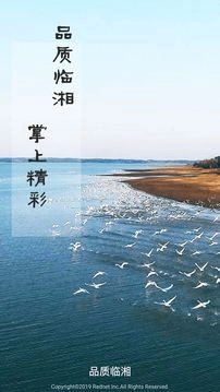 品质临湘图4