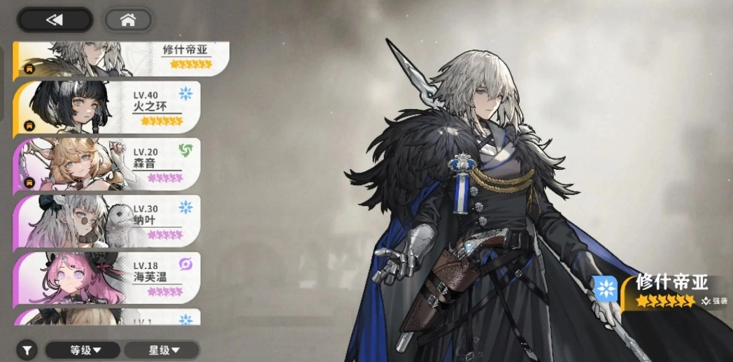 火环搭配什么装备才能达到最强效果？