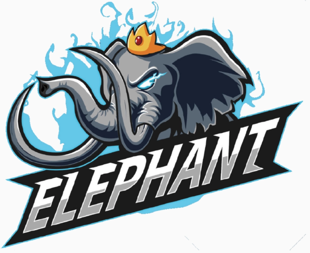 dota2ti10赛事中包含哪些中国战队？这些中国战队的阵容配置具体是怎样的？