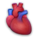 谷歌人体浏览器安卓版