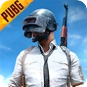 PUBG体验服(BETA PUBG MOBILE)