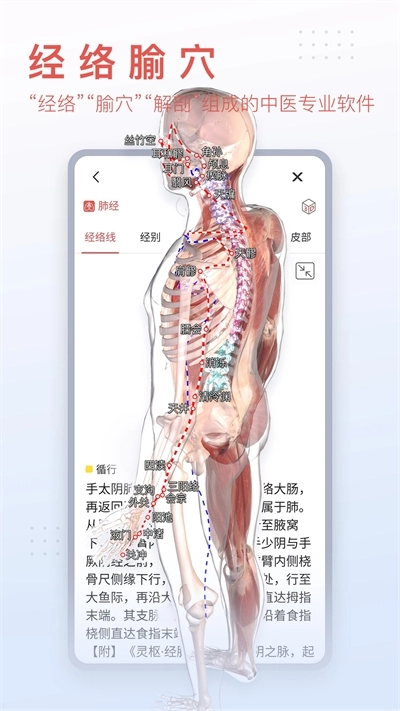 3dbody解剖免费版图4