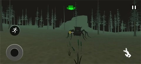 可怕的隐藏蜘蛛火车3