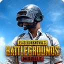 PUBG国际版地铁逃生安装