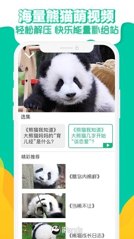 熊猫频道最新版