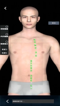 子午经络安卓版图2