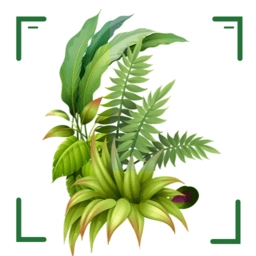 识万物扫一扫软件 