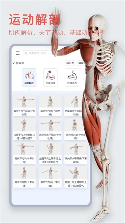 3dbody解剖免费版图3