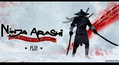 忍者岚中文版图3