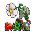植物大战僵尸夏日狂欢版