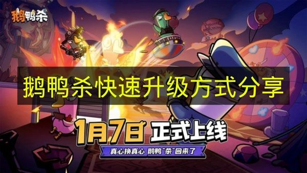 《鹅鸭杀》快速提升等级的方法分享