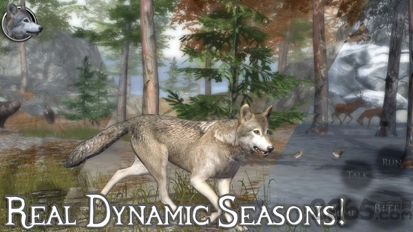 终极狼模拟器2(1)