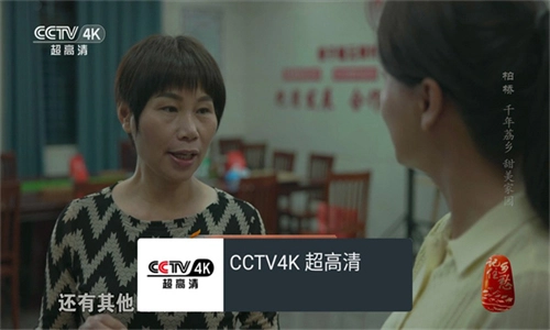 我的电视电视版