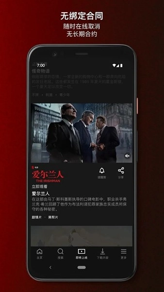 网飞netflix中文版1